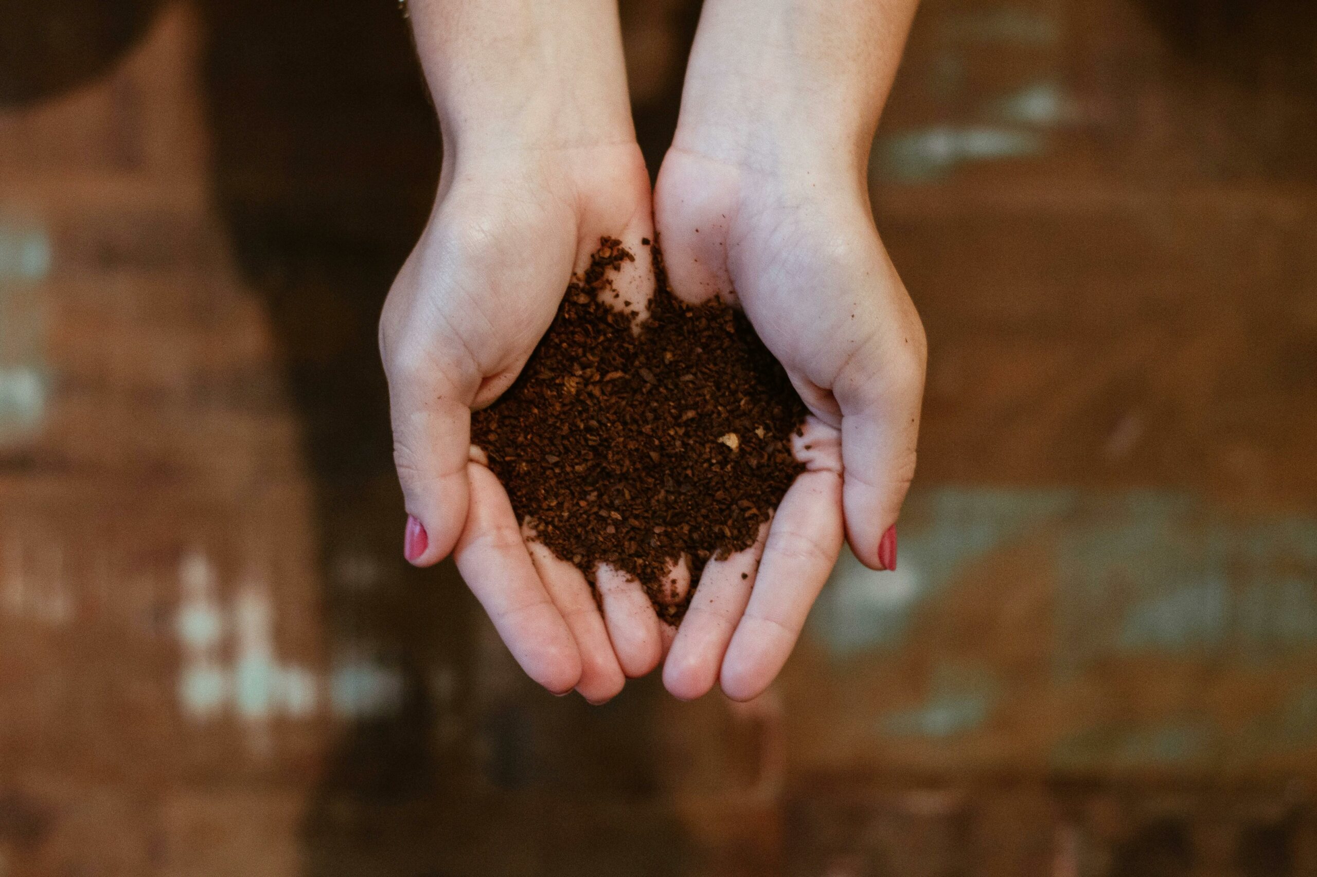 Composting and Soil Health